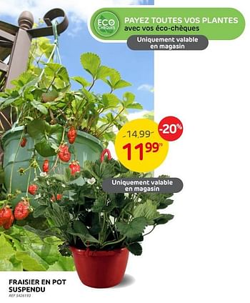 Promotions Fraisier en pot suspendu - Produit maison - Brico - Valide de 14/06/2023 à 26/06/2023 chez Brico