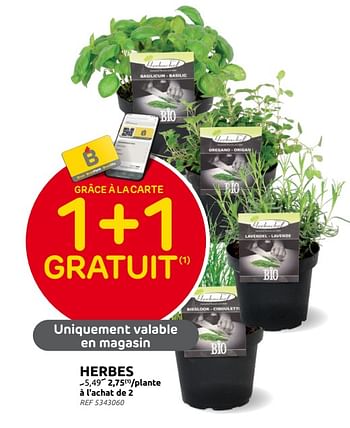 Promotions Herbes - Produit maison - Brico - Valide de 14/06/2023 à 26/06/2023 chez Brico