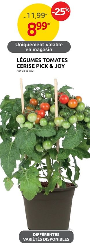 Promotions Légumes tomates cerise pick + joy - Produit maison - Brico - Valide de 14/06/2023 à 26/06/2023 chez Brico