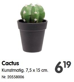 Promoties Cactus - Huismerk - Fun - Geldig van 14/06/2023 tot 26/06/2023 bij Fun
