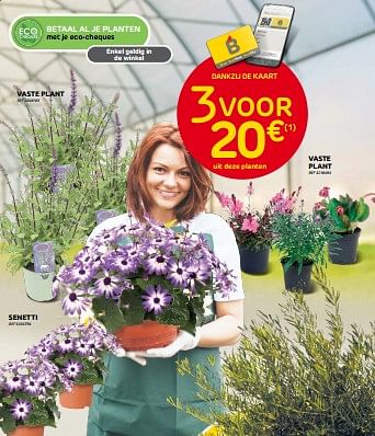 Promoties Vaste plant - Huismerk - Brico - Geldig van 28/06/2023 tot 17/07/2023 bij Brico