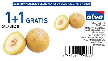 Promoties Galia meloen 1+1 gratis - Huismerk - Alvo - Geldig van 12/07/2023 tot 18/07/2023 bij Alvo