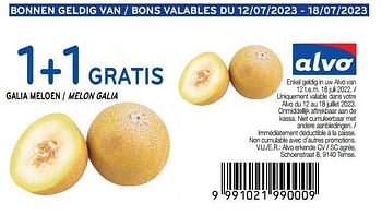 Promotions Melon galia 1+1 gratis - Produit maison - Alvo - Valide de 12/07/2023 à 18/07/2023 chez Alvo
