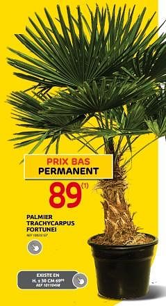 Promotions Palmier trachycarpus fortunei - Produit maison - Brico - Valide de 19/07/2023 à 07/08/2023 chez Brico