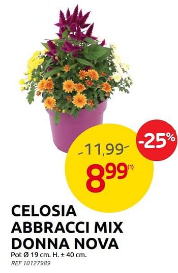Promoties Celosia abbracci mix donna nova - Huismerk - Brico - Geldig van 23/08/2023 tot 04/09/2023 bij Brico