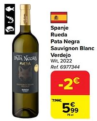 Spanje rueda pata negra sauvignon blanc verdejo wit, 2022-Witte wijnen