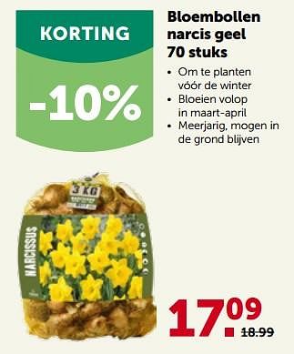 Promoties Bloembollen narcis geel - Huismerk - Aveve - Geldig van 27/09/2023 tot 08/10/2023 bij Aveve