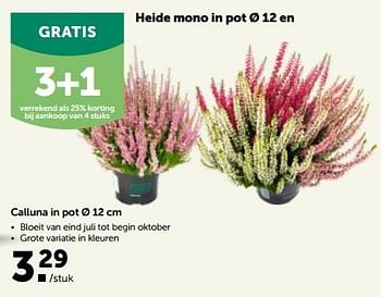 Promoties Calluna in pot - Huismerk - Aveve - Geldig van 27/09/2023 tot 08/10/2023 bij Aveve