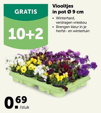 Promoties Viooltjes in pot - Huismerk - Aveve - Geldig van 27/09/2023 tot 08/10/2023 bij Aveve
