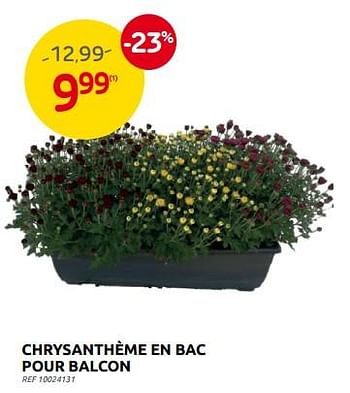 Promotions Chrysanthème en bac pour balcon - Produit maison - Brico - Valide de 27/08/2023 à 16/10/2023 chez Brico