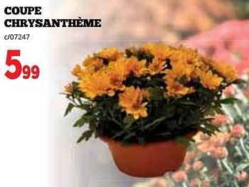 Promotions Coupe chrysanthème - Produit maison - Dema - Valide de 16/10/2023 à 05/11/2023 chez Dema