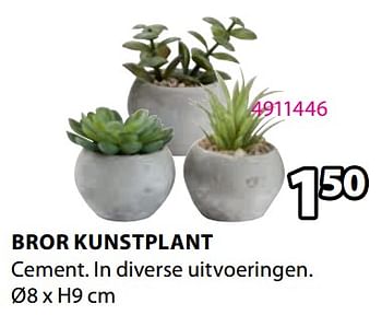 Promoties Bror kunstplant - Huismerk - Jysk - Geldig van 30/10/2023 tot 26/11/2023 bij Jysk