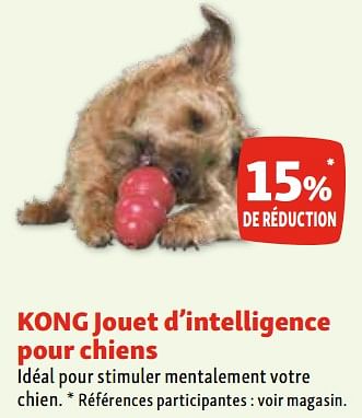 Promotions Kong jouet d’intelligence pour chiens 15% de réduction - Kong - Valide de 02/11/2023 à 06/11/2023 chez Maxi Zoo