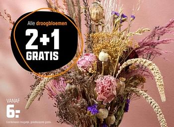 Promoties Droogbloemen - Huismerk - Kwantum - Geldig van 20/11/2023 tot 27/11/2023 bij Kwantum