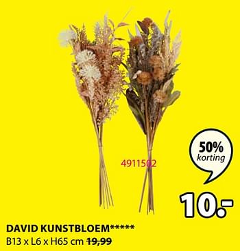 Promoties David kunstbloem - Huismerk - Jysk - Geldig van 20/11/2023 tot 26/11/2023 bij Jysk