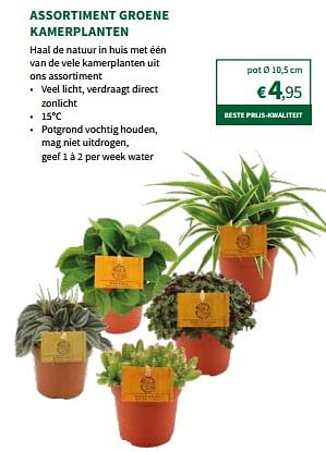 Promoties Assortiment groene kamerplanten - Huismerk - Horta - Geldig van 22/11/2023 tot 03/12/2023 bij Horta