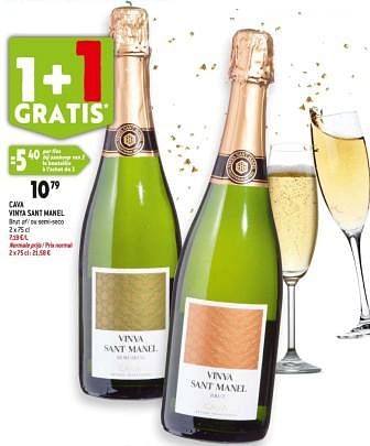 Promoties Cava vinya sant manel brut of - ou semi-seco - Schuimwijnen - Geldig van 29/11/2023 tot 05/12/2023 bij Match
