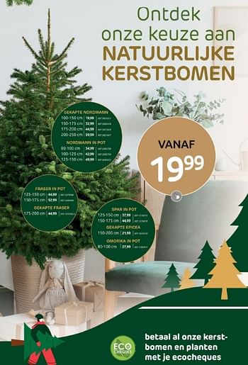 Promoties Natuurlijke kerstbomen - Huismerk - Brico - Geldig van 29/11/2023 tot 28/12/2023 bij Brico