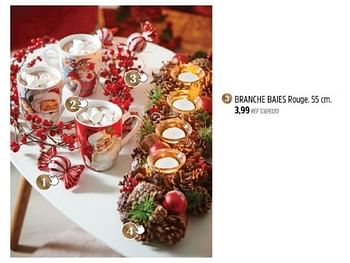Promotions Branche baies - Produit maison - Brico - Valide de 29/11/2023 à 28/12/2023 chez Brico