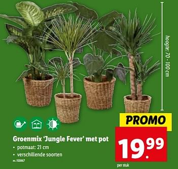 Promoties Groenmix ‘jungle fever’ met pot - Huismerk - Lidl - Geldig van 06/12/2023 tot 12/12/2023 bij Lidl