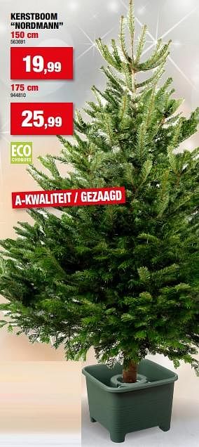 Promoties Kerstboom nordmann - Huismerk - Hubo  - Geldig van 06/12/2023 tot 17/12/2023 bij Hubo