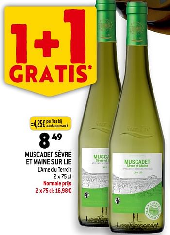 Promoties Muscadet sèvre et maine sur lie l’ame du terroir - Witte wijnen - Geldig van 06/12/2023 tot 12/12/2023 bij Louis Delhaize