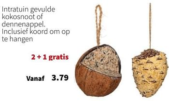 Promoties Intratuin gevulde kokosnoot of dennenappel - Huismerk - Intratuin - Geldig van 11/12/2023 tot 17/12/2023 bij Intratuin