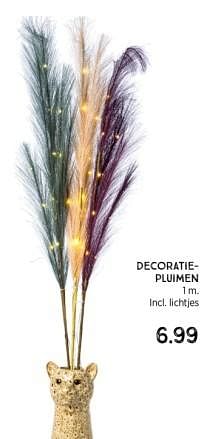 Promoties Decoratie-pluimen - Huismerk - Xenos - Geldig van 10/12/2023 tot 24/12/2023 bij Xenos