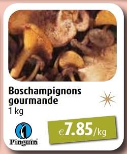 Promoties Boschampignons gourmande - Pinguin - Geldig van 27/11/2023 tot 31/12/2023 bij Aronde