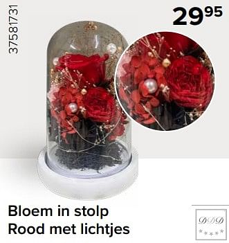 Promoties Bloem in stolp rood met lichtjes - DDD - Geldig van 15/12/2023 tot 31/12/2023 bij Euro Shop