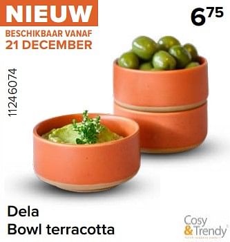 Promoties Dela bowl terracotta - Cosy & Trendy - Geldig van 15/12/2023 tot 31/12/2023 bij Euro Shop