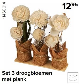 Promoties Set 3 droogbloemen met plank - DDD - Geldig van 15/12/2023 tot 31/12/2023 bij Euro Shop