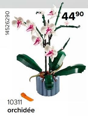 Promotions 10311 orchidée - Produit Maison - Euroshop - Valide de 15/12/2023 à 31/12/2023 chez Euro Shop