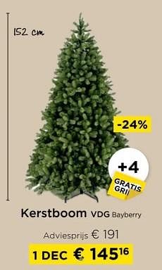 Promoties Kerstboom vdg bayberry - Huismerk - Molecule - Geldig van 01/12/2023 tot 31/12/2023 bij Molecule