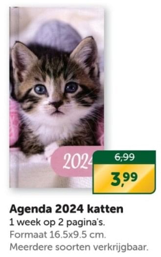 Promoties Agenda 2024 katten - Huismerk - Boekenvoordeel - Geldig van 09/12/2023 tot 31/12/2023 bij BoekenVoordeel