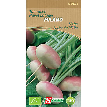 Promoties Somers zaad pakket tuinraap 'Milano' - Somers - Geldig van 04/08/2023 tot 14/09/2023 bij Brico
