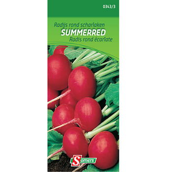 Promoties Somers zaad pakket radijs rond scharlaken 'Summerred' - Somers - Geldig van 06/08/2023 tot 14/09/2023 bij Brico