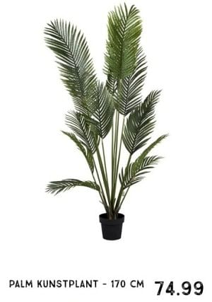 Promoties Palm kunstplant - Huismerk - Xenos - Geldig van 01/01/2024 tot 27/01/2024 bij Xenos