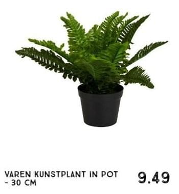 Promoties Varen kunstplant in pot - Huismerk - Xenos - Geldig van 01/01/2024 tot 27/01/2024 bij Xenos