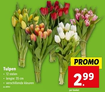 Promoties Tulpen - Huismerk - Lidl - Geldig van 10/01/2024 tot 16/01/2024 bij Lidl