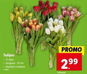 Promotions Tulipes - Produit maison - Lidl - Valide de 10/01/2024 à 16/01/2024 chez Lidl
