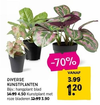 Promoties Diverse kunstplanten - Huismerk - Xenos - Geldig van 03/01/2024 tot 31/01/2024 bij Xenos