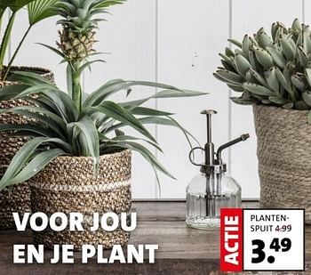 Promoties Planten-spuit - Huismerk - Intratuin - Geldig van 15/01/2024 tot 21/01/2024 bij Intratuin