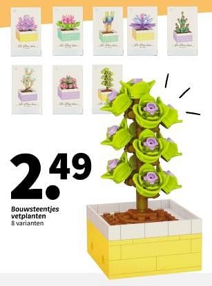 Promoties Bouwsteentjes vetplanten - Huismerk - Wibra - Geldig van 15/01/2024 tot 28/01/2024 bij Wibra