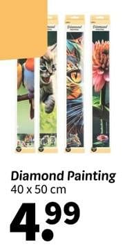 Promoties Diamond painting - Huismerk - Wibra - Geldig van 15/01/2024 tot 28/01/2024 bij Wibra