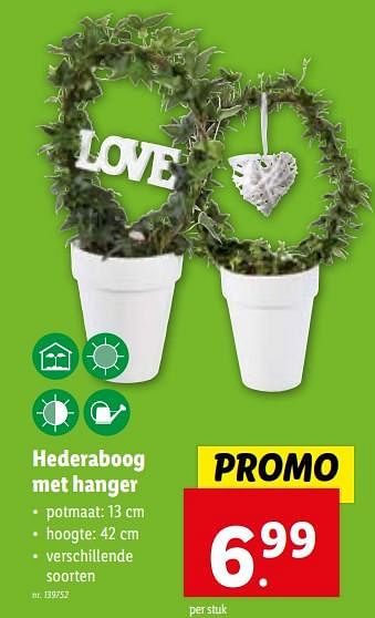 Promoties Hederaboog met hanger - Huismerk - Lidl - Geldig van 24/01/2024 tot 30/01/2024 bij Lidl