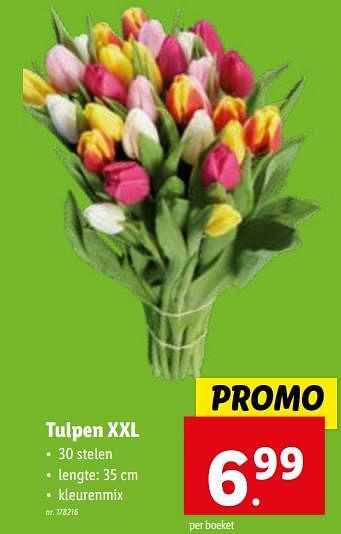 Promoties Tulpen xxl - Huismerk - Lidl - Geldig van 24/01/2024 tot 30/01/2024 bij Lidl