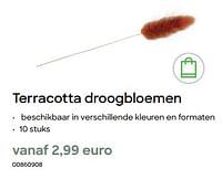 Terracotta droogbloemen-Huismerk - Ava