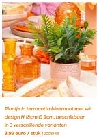 Promoties Plantje in terracotta bloempot met wit design - Huismerk - Ava - Geldig van 29/01/2024 tot 31/07/2024 bij Ava