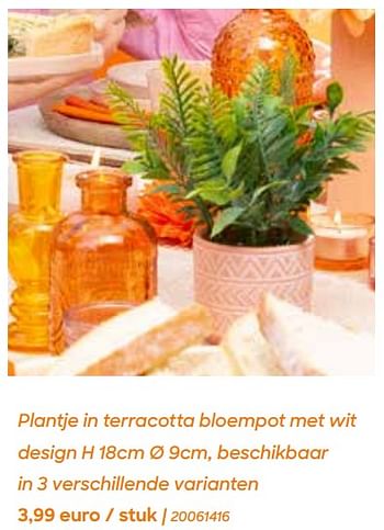 Promotions Plantje in terracotta bloempot met wit design - Produit Maison - Ava - Valide de 29/01/2024 à 31/07/2024 chez Ava